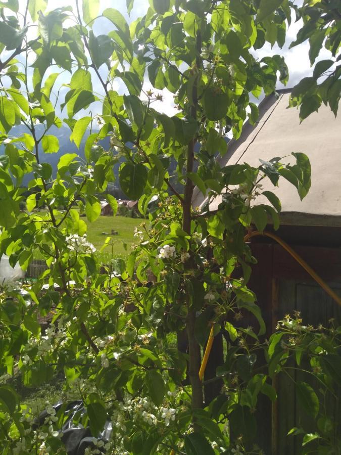 Cianbolpin Guesthouse Canazei Ngoại thất bức ảnh